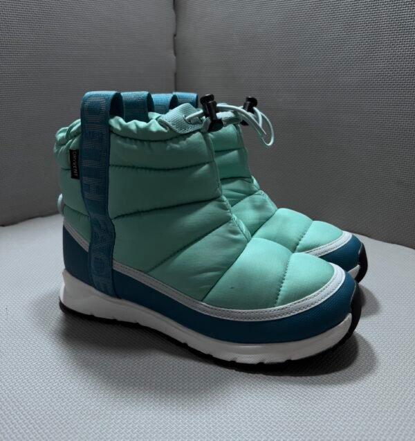 Zapatos TNF (5